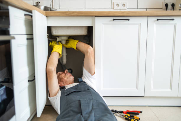 Best Residential Plumbing Services  in Naples Park, FL